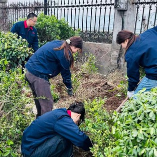 Employees Unite to Green Our Campus 2 Employees Unite to Green Our Campus 2